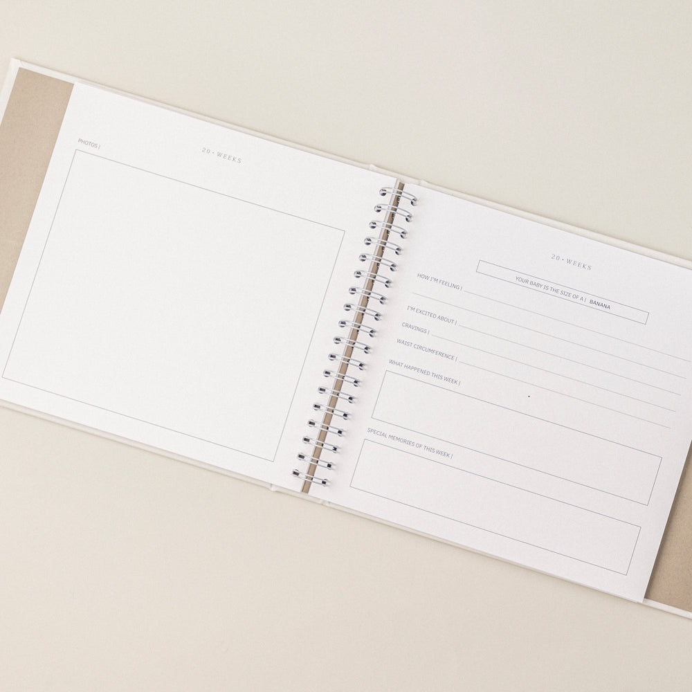 Pregnancy journal